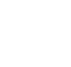 Logo Maristas